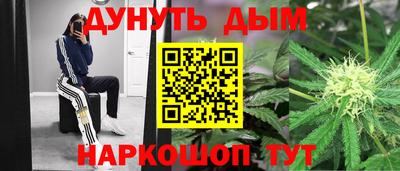 стаф Камышлов