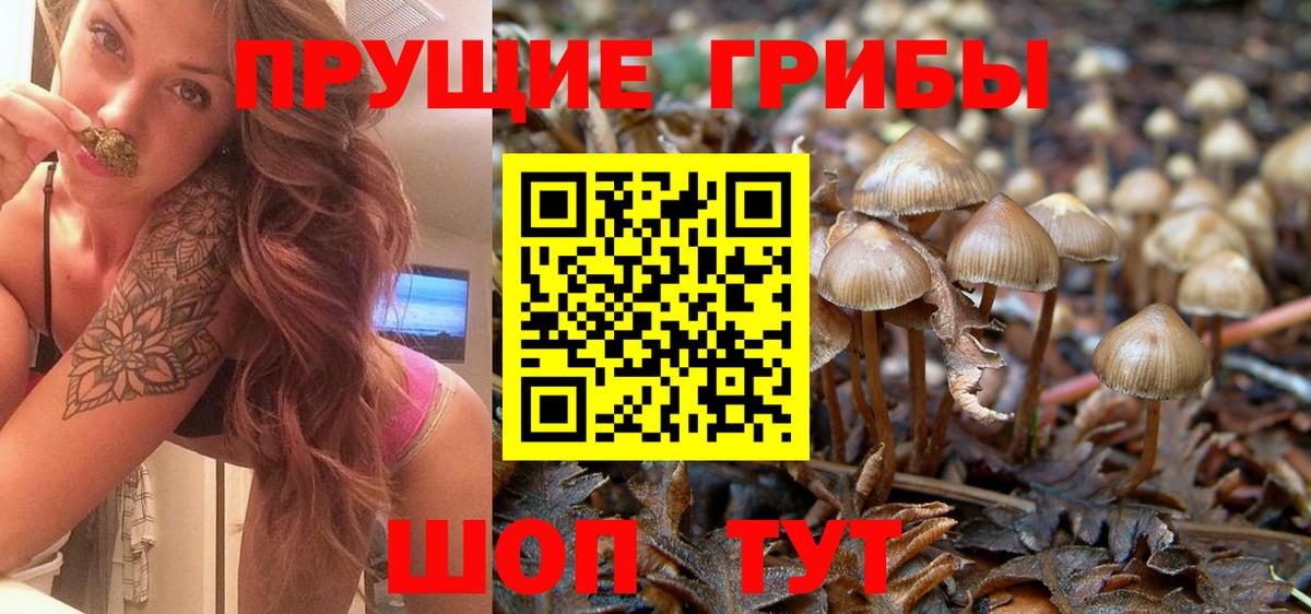Галлюциногенные грибы мухоморы Вологда